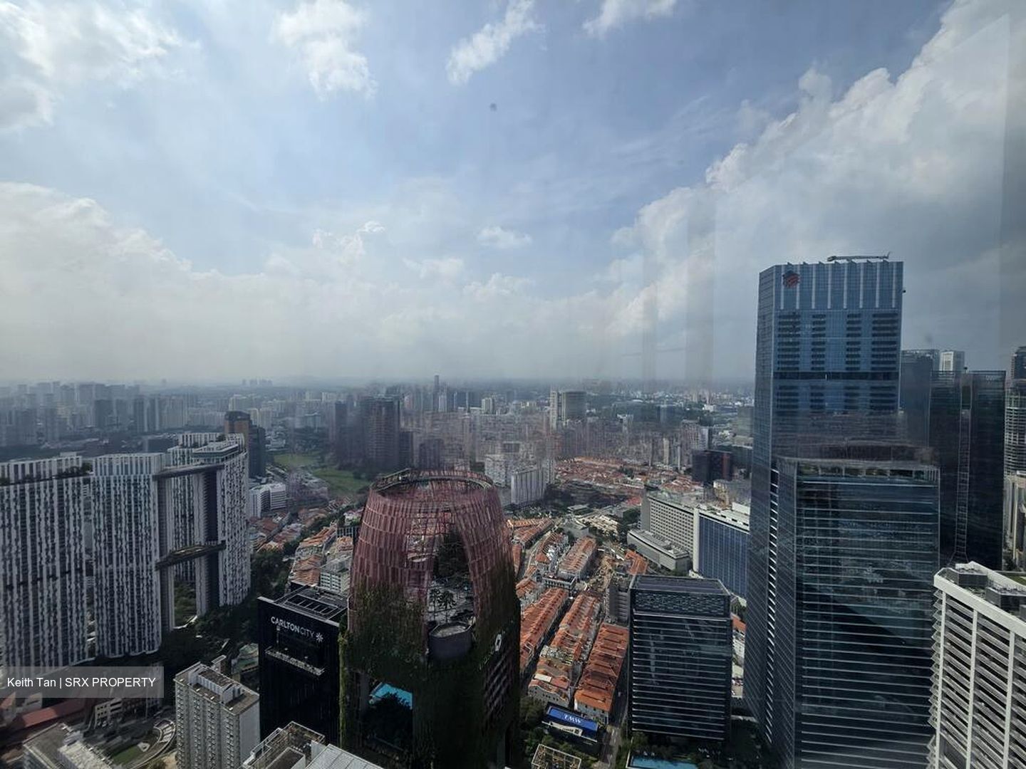 Skysuites@Anson (D2), Apartment #502106141